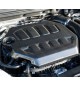 Eventuri | Copri motore in Carbonio per Volkswagen Golf 8