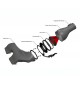 Eventuri | Aspirazione in Carbonio per BMW M135i / M235i / 128Ti