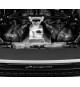 Eventuri | Aspirazione in Carbonio per Lamborghini Huracan