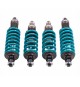 Nitron | Assetto NTR R1 per Audi R8 V8