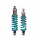 Nitron | Assetto NTR R1 per Audi R8 V8