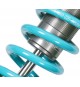 Nitron | Assetto NTR R1 per Renault Megane 250/265 RS