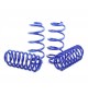 RacingLine | Set di 4 ammortizzatori sportivi + kit molle ribassate VWR Racingline - Telaio A5: VW Scirocco (ammortizzatore ⌀ 55mm) RacingLine | Set di 4 ammortizzatori sportivi + kit molle ribassate VWR Racingline - Telaio A5: VW Scirocco (ammortizzatore ⌀ 55mm)