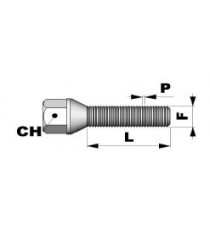 Xilema - Bullone  conico M 12  x 1,25 L 35 mm ch. 17mm